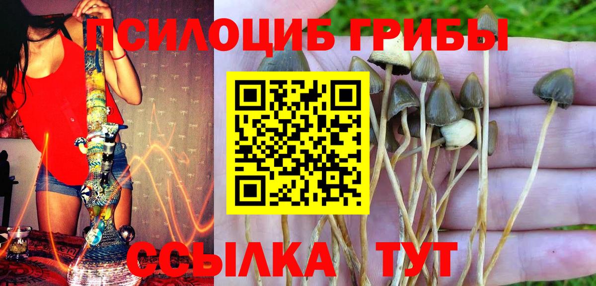Галлюциногенные грибы Psilocybine cubensis  Вход с VPN  Псилоцибиновые грибы прущие грибы  Ханты-Мансийск 